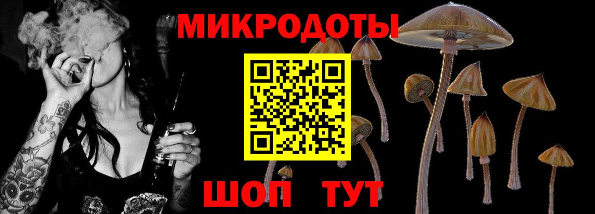 Псилоцибиновые грибы Magic Shrooms  Вход с VPN  Кстово 